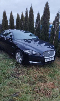 samochody osobowe Jaguar XF cena 17900 przebieg: 333000, rok produkcji 2011 z Bełchatów